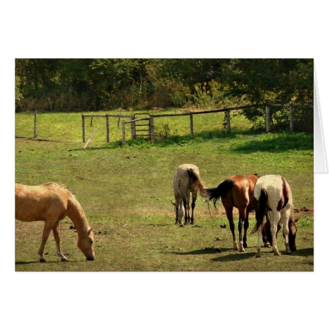 Horse Pasture (Front Horizontal)