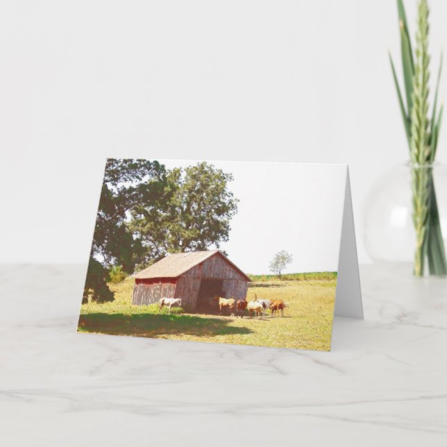 Horse Pasture all occasions Card (Front)