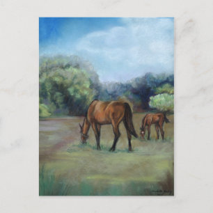 "Horse Pasture" Art Postcard
