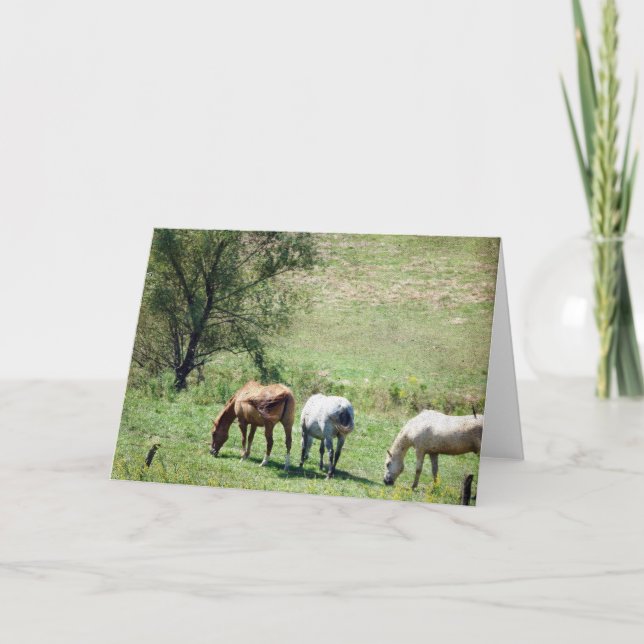 Horse Pasture Card (Front)