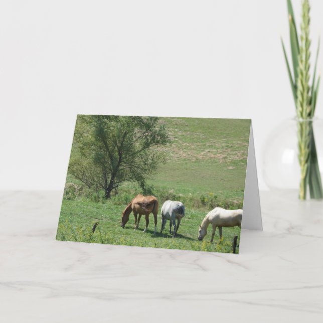 Horse Pasture Card (Front)