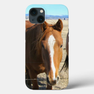 Horse Phone Cases