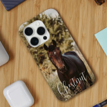 Horse Photo and Name