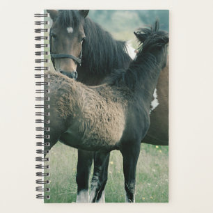 Horse Photo Equine Mare Foal Planner