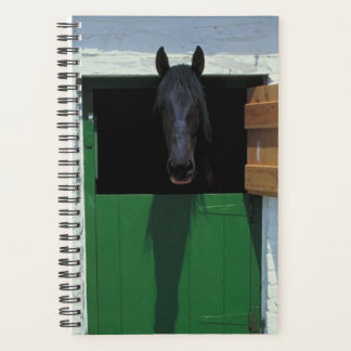 Horse Photo Equine Stabled Horse French Door Planner