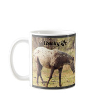 Horse Photo Mug