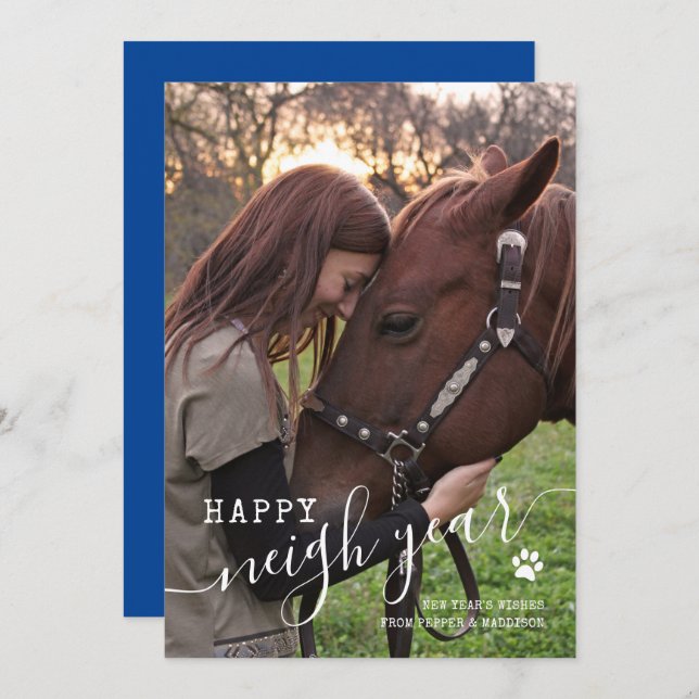 Horse Photo New Years Holiday Card (Front/Back)