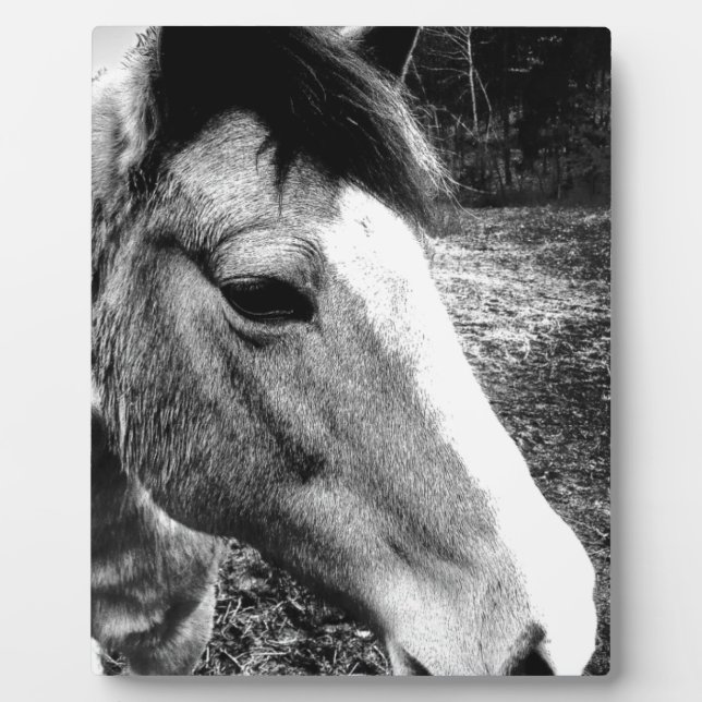 Horse Plaque (Front)