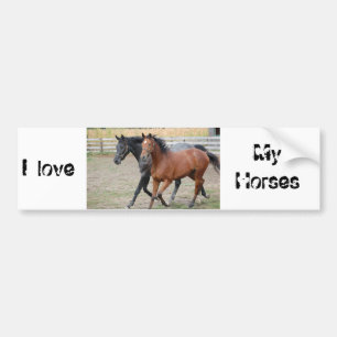 Horse Play Bumper Sticker
