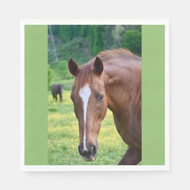 horse play napkin (Front)