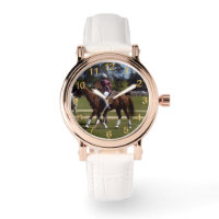 Horse Polo Lacrosse, 