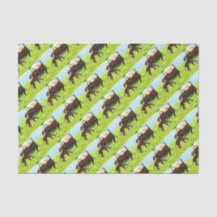 Horse Pony Baby Foal Cute Tissue Paper