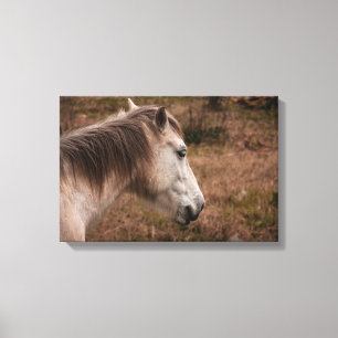 Horse portrait canvas print