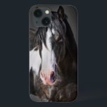 Horse Portrait II iPhone 13 Case<br><div class="desc">Animals</div>