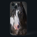Horse Portrait II iPhone 13 Case<br><div class="desc">Animals</div>
