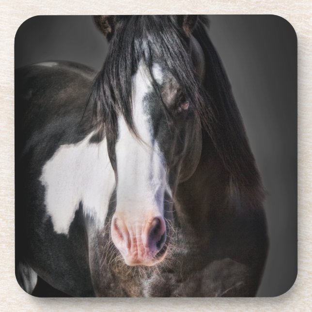 Horse Portrait II Coaster (Front)
