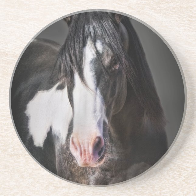 Horse Portrait II Coaster (Front)