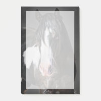 Horse Portrait II
