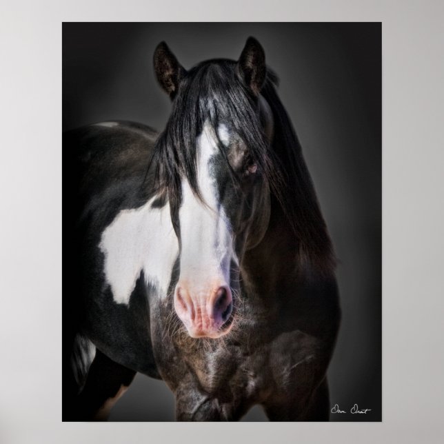 Horse Portrait II Poster (Front)