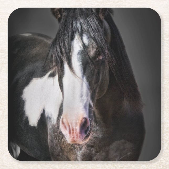 Horse Portrait II Square Paper Coaster (Front)