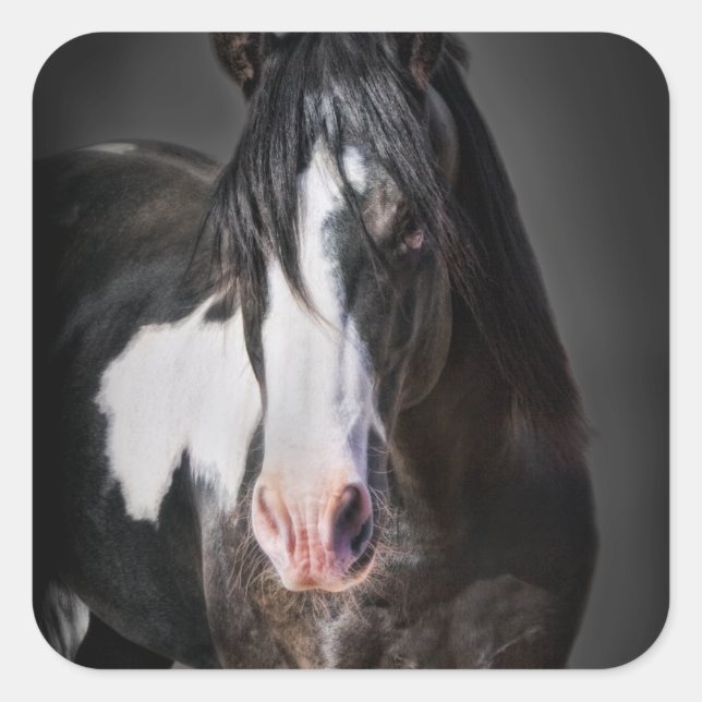 Horse Portrait II Square Sticker (Front)