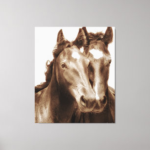 Horse Portrait III Canvas Print