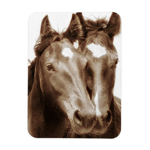 Horse Portrait III Magnet