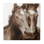 Horse Portrait III Tile<br><div class="desc">Animals</div>