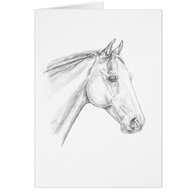 Horse Portrait in Pencil (Front)