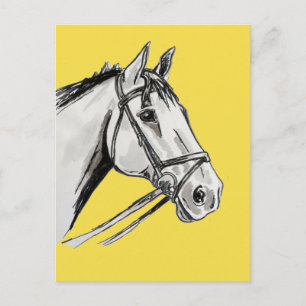 Horse Portrait Ink and Wash Postcard
