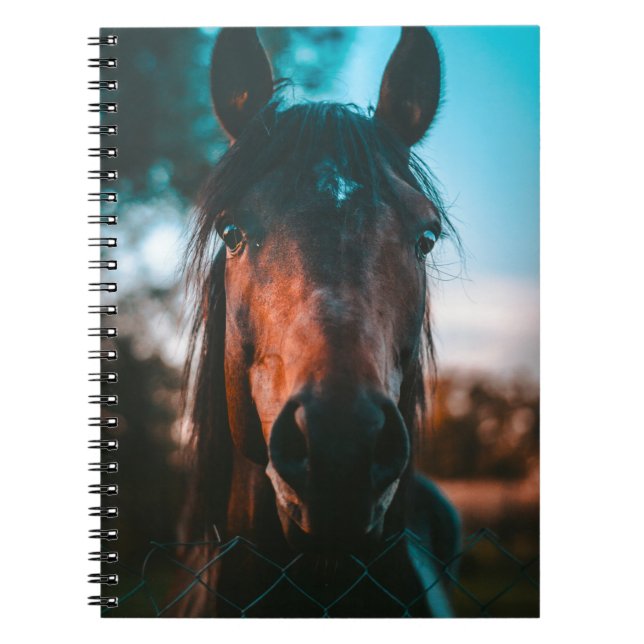 HORSE PORTRAIT NOTEBOOK (Front)