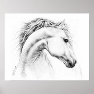 Horse portrait pencil drawing poster
