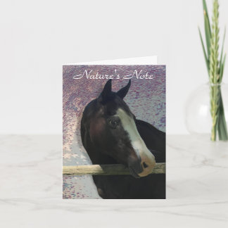 HORSE PORTRAIT PHOTO ANIMAL NOTE CARD