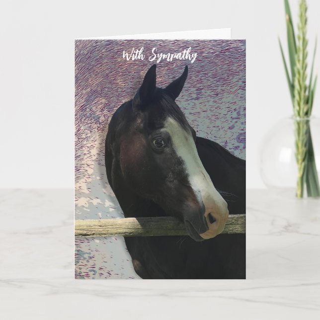HORSE PORTRAIT PHOTO ANIMAL SYMPATHY CARD (Front)