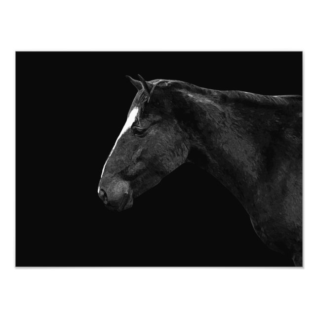 Horse portrait photo print (Front)