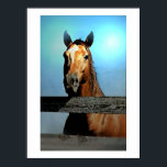 Horse Portrait Poster<br><div class="desc">Horse Portrait - Horse Face / Head - Horse Look - Digital Animal / Horse Art - Horse Digital Watercolor Artwork Posters</div>