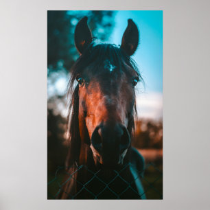 HORSE PORTRAIT POSTER