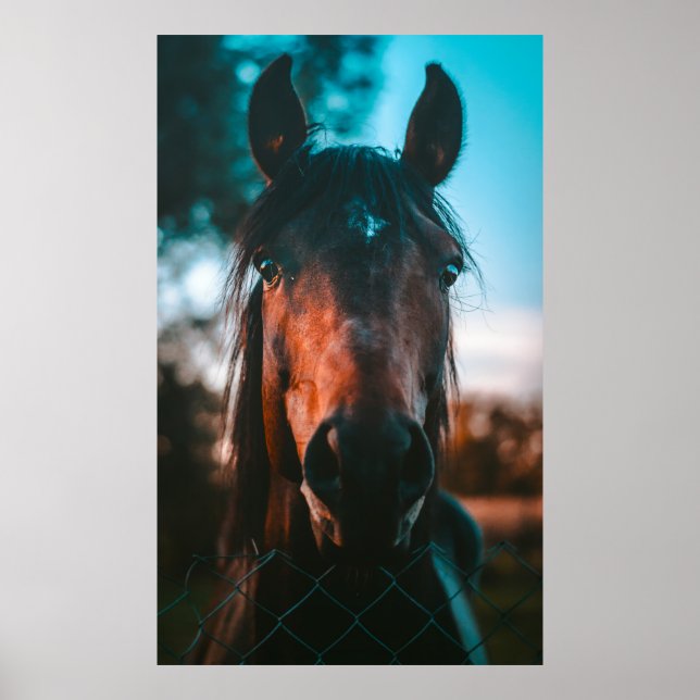 HORSE PORTRAIT POSTER (Front)
