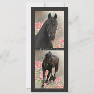 Horse Portrait ~ Rackcard / Postcard