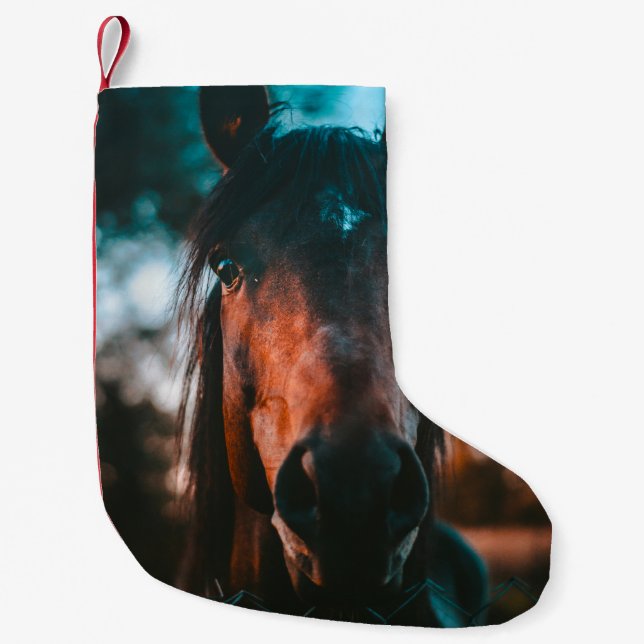 HORSE PORTRAIT SMALL CHRISTMAS STOCKING (Front)