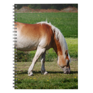 Horse portrait spiral notebook
