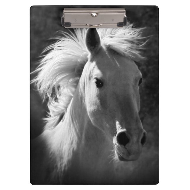 Horse Portrait V Clipboard (Front)