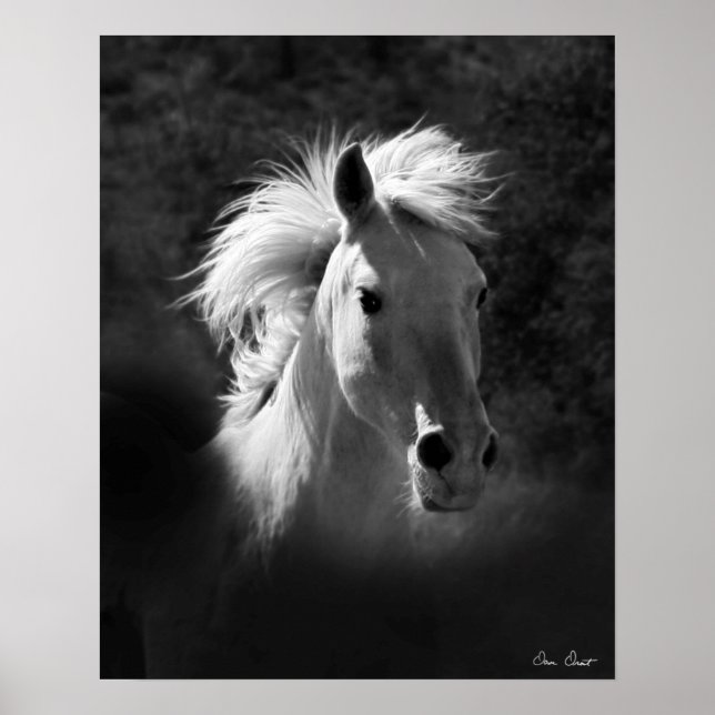 Horse Portrait V Poster (Front)