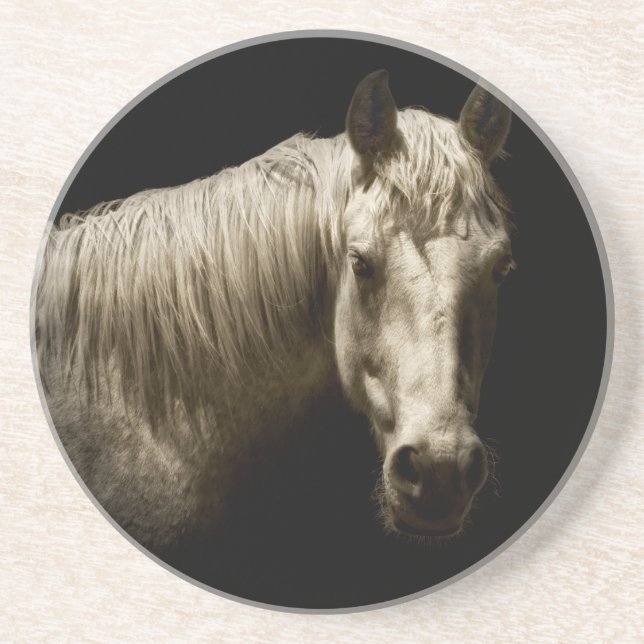 Horse Portrait VI Coaster (Front)