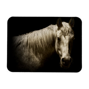 Horse Portrait VI Magnet