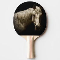 Horse Portrait VI