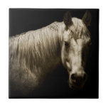 Horse Portrait VI Tile<br><div class="desc">Animals</div>