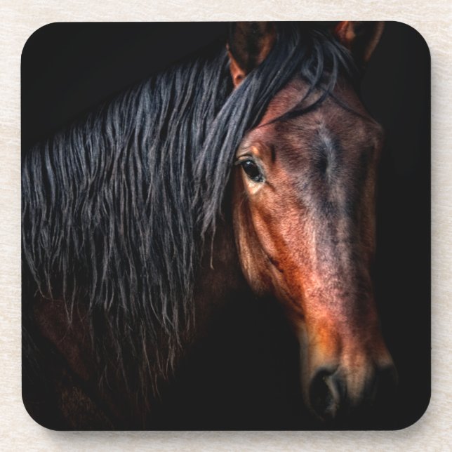 Horse Portrait VII Coaster (Front)