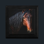 Horse Portrait VII Gift Box<br><div class="desc">Animals</div>
