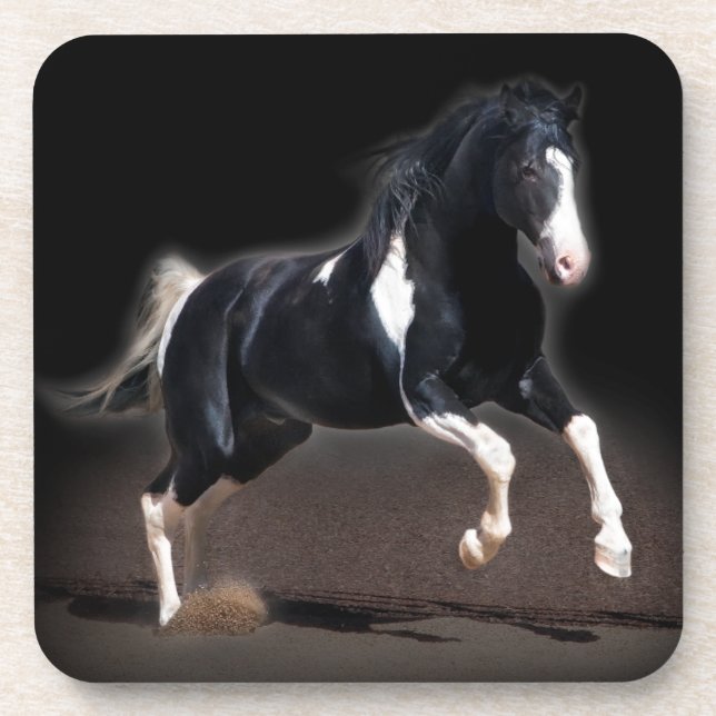 Horse Portrait VIII Coaster (Front)